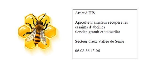 ESSAIM D'ABEILLES